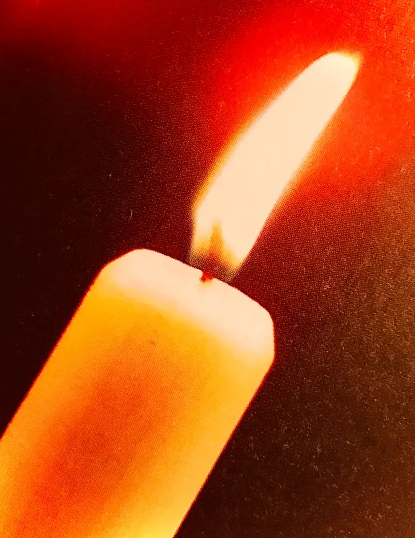 Amazon Ceremonies: Connecting with Nature and Spirit