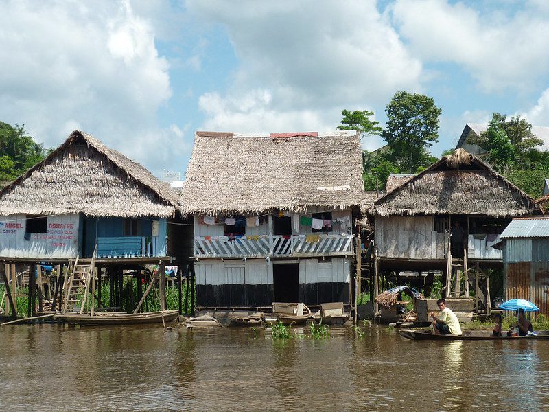 Amazon Cities: Urban Life in the Heart of the Rainforest and Ancient Cities Discovered