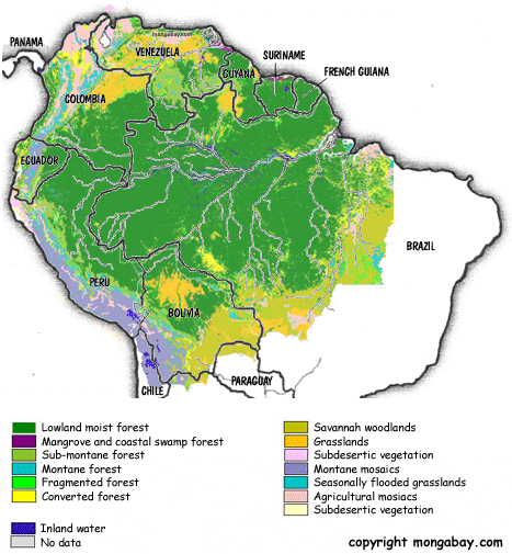 Revealing the Amazon Rainforest Map Through Geography, Borders, and Discovery