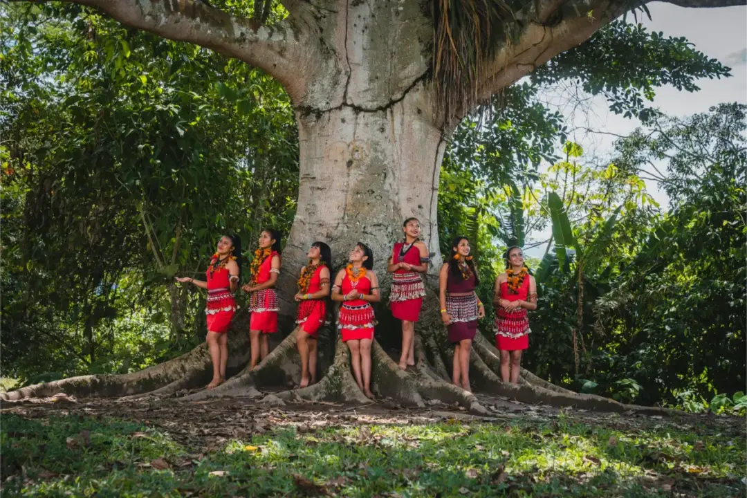 Languages of the Peruvian Amazon: A Journey in Preserving Indigenous Communication
