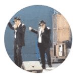 Macaw &amp; animals short