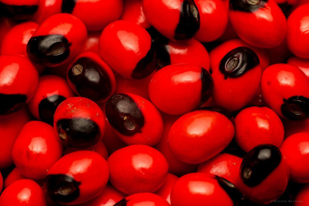 Huayruro Seeds: Their Symbolism and Multifaceted Uses