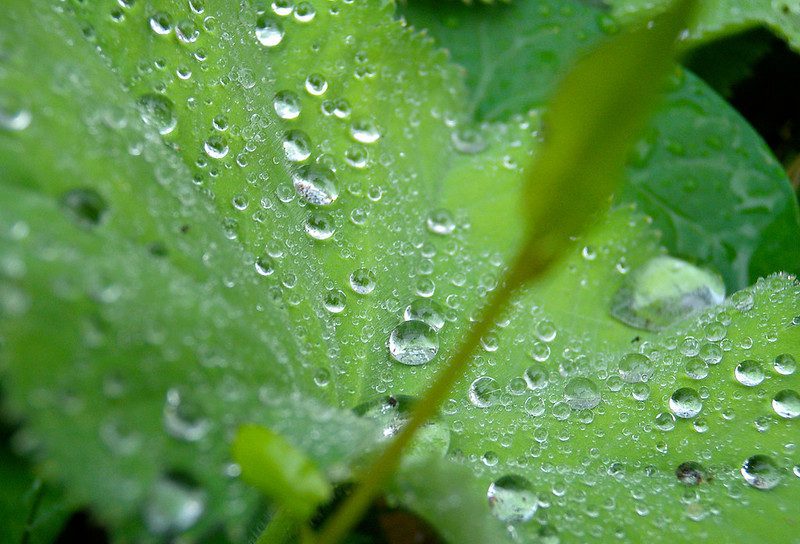 🌧️ Amazon Weather: A Comprehensive Overview