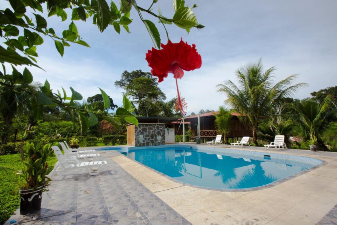 🌿🐒🛶 Puerto Maldonado Amazon Lodges: Gateway to Peru’s Wild Amazon