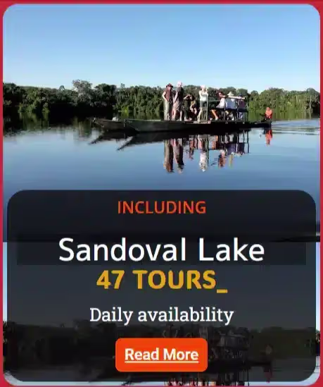 turistas en un bote en lago Sandoval; Puerto Maldonado Peru Grupo de turistas en un bote en un lago en la Reserva Nacional Tambopata en la Amazonía peruana Sandoval tours