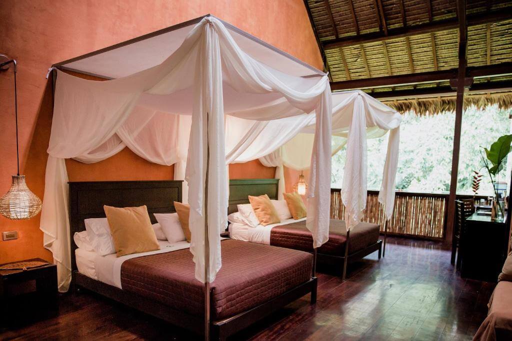 Tambopata Reserve vs. Manu National Park: A Journey Through Peru’s Amazonian Wonders