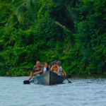 inexpensive all inclusive wildlife sandoval 4 d