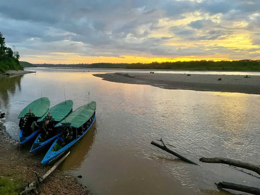 🌿 Things to do in tambopata, Puerto Maldonado: River Cruises, Jungle Treks &amp; Wild Wonders