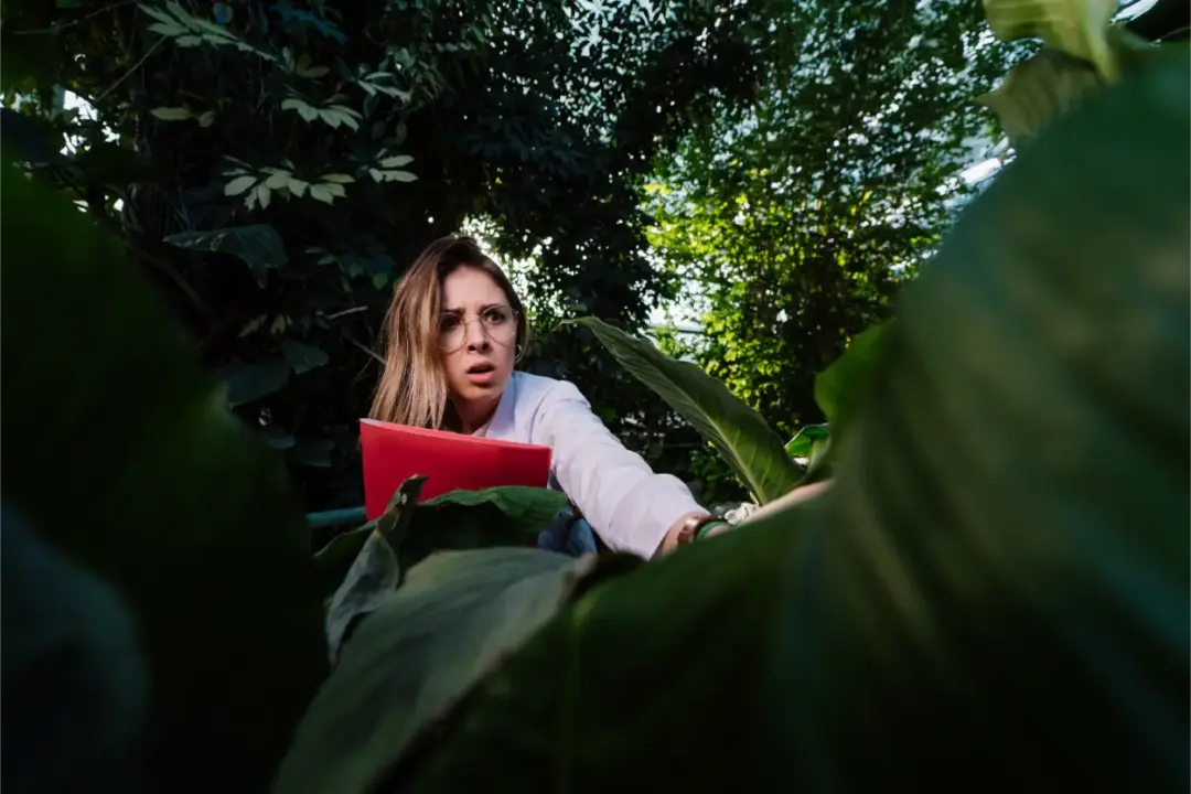 10 Surprising Amazon Rainforest Facts